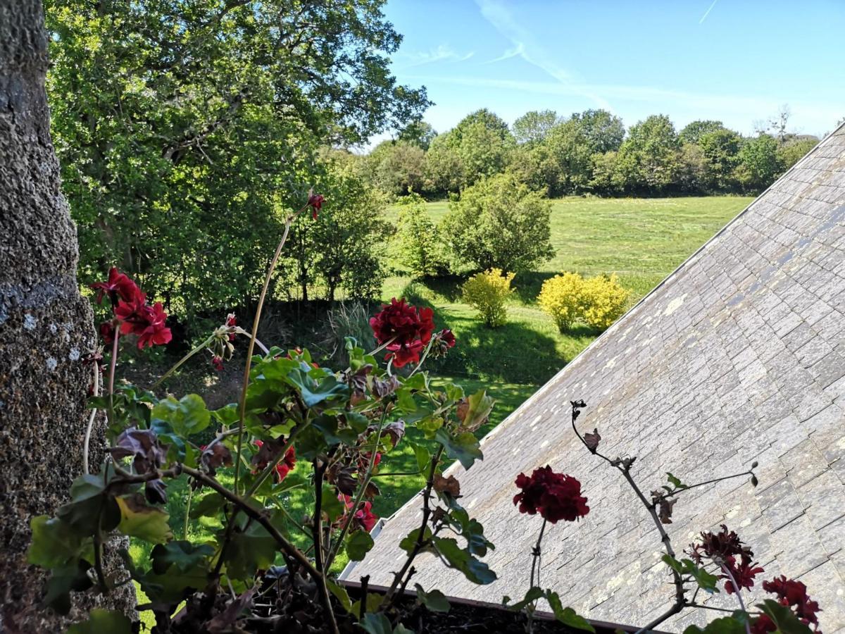 Bed and Breakfast Manoir de la Foulerie Ancteville Exteriér fotografie